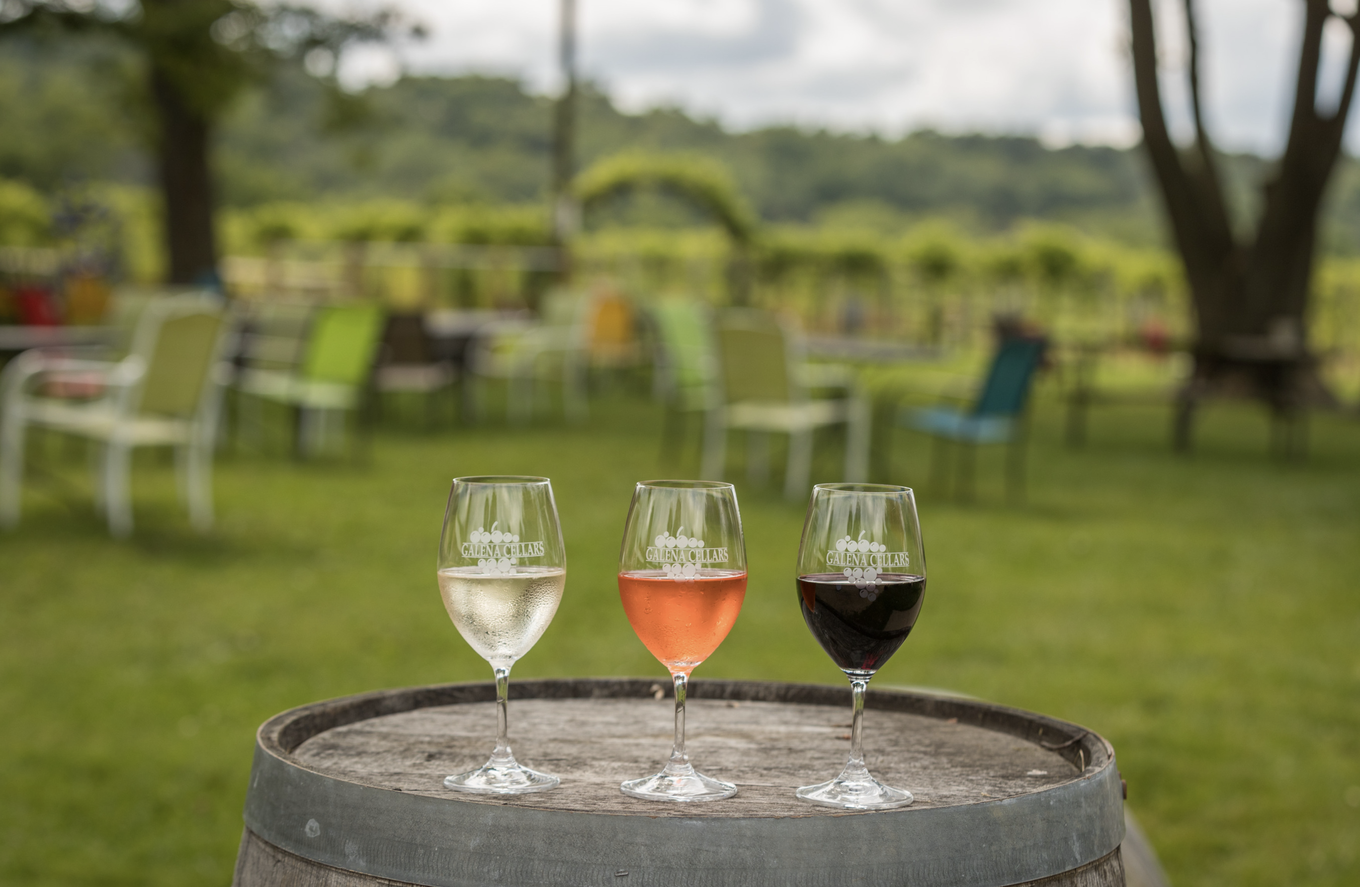 Galena Cellars White, Rose', and Red Wines at the Vineyard.